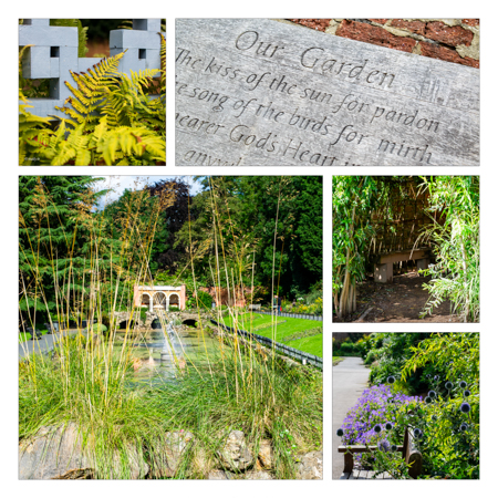 A smile-worthy montage