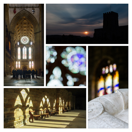 A smile-worthy montage