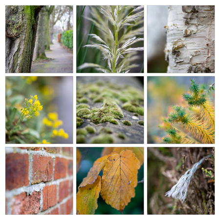 A smile-worthy montage