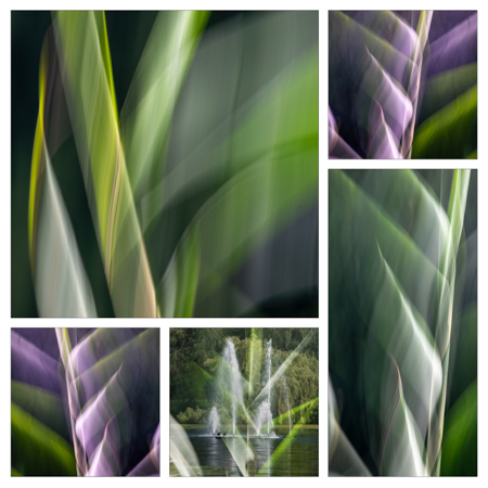 A smile-worthy montage